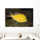 Hawaii, Lanai, Pseudanthias Fuscipinnis Close-Up Side View Wall Mural