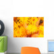 Hawaii, Yellow Soft Coral, Cup Coral, Close-Up Detail Wall Mural