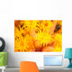 Hawaii, Yellow Soft Coral, Cup Coral, Close-Up Detail Wall Mural