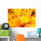 Hawaii, Yellow Soft Coral, Cup Coral, Close-Up Detail Wall Mural