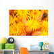 Hawaii, Yellow Soft Coral, Cup Coral, Close-Up Detail Wall Mural