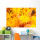 Hawaii, Yellow Soft Coral, Cup Coral, Close-Up Detail Wall Mural