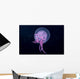 Hawaii, Pink Jellyfish Close-Up In Black Ocean Background Wall Mural