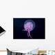 Hawaii, Pink Jellyfish Close-Up In Black Ocean Background Wall Mural