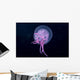 Hawaii, Pink Jellyfish Close-Up In Black Ocean Background Wall Mural