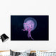 Hawaii, Pink Jellyfish Close-Up In Black Ocean Background Wall Mural