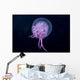 Hawaii, Pink Jellyfish Close-Up In Black Ocean Background Wall Mural