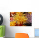Hawaii, Stony Cup Coral Close-Up Detail Wall Mural