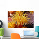 Hawaii, Stony Cup Coral Close-Up Detail Wall Mural