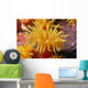Hawaii, Stony Cup Coral Close-Up Detail Wall Mural