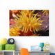 Hawaii, Stony Cup Coral Close-Up Detail Wall Mural