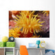 Hawaii, Stony Cup Coral Close-Up Detail Wall Mural