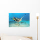 Hawaii, Diver And Green Sea Turtle Swims Over Bottom Wall Mural