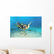 Hawaii, Diver And Green Sea Turtle Swims Over Bottom Wall Mural