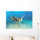 Hawaii, Diver And Green Sea Turtle Swims Over Bottom Wall Mural