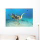 Hawaii, Diver And Green Sea Turtle Swims Over Bottom Wall Mural