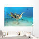 Hawaii, Diver And Green Sea Turtle Swims Over Bottom Wall Mural