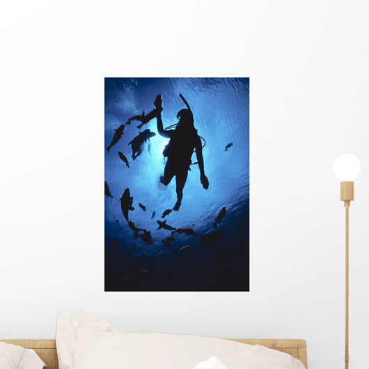 Hawaii, Silhouetted Diver And Reef Fish, View From Below, Sunburst Wall Mural