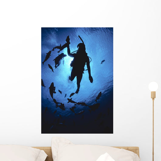 Hawaii, Silhouetted Diver And Reef Fish, View From Below, Sunburst Wall Mural