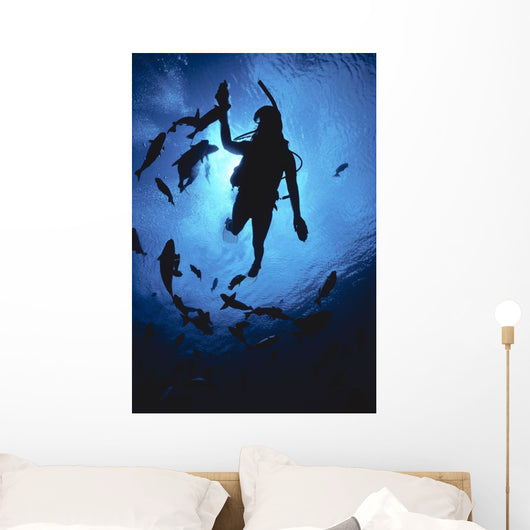 Hawaii, Silhouetted Diver And Reef Fish, View From Below, Sunburst Wall Mural