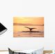 Alaska, Frederick Sound, Humpback Whale Fluke At Sunset Wall Mural