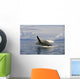 Alaska, Frederick Sound, Humpback Whale Breaching Wall Mural