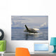 Alaska, Frederick Sound, Humpback Whale Breaching Wall Mural