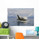 Alaska, Frederick Sound, Humpback Whale Breaching Wall Mural