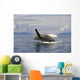 Alaska, Frederick Sound, Humpback Whale Breaching Wall Mural