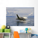 Alaska, Frederick Sound, Humpback Whale Breaching Wall Mural