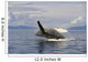 Alaska, Frederick Sound, Humpback Whale Breaching Wall Mural