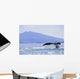 Alaska, North Pass, Humpback Whale Flukes Wall Mural