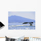 Alaska, North Pass, Humpback Whale Flukes Wall Mural