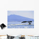 Alaska, North Pass, Humpback Whale Flukes Wall Mural