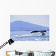 Alaska, North Pass, Humpback Whale Flukes Wall Mural