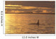 Canada, Vancouver Island, Killer Whale At Sunset Wall Mural