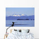 Alaska, Frederick Sound, Humpback Whale Fluke Wall Mural