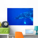 Hawaii, Close-Up Side View Of Humpback Whale Underwater Wall Mural