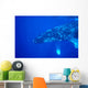 Hawaii, Close-Up Side View Of Humpback Whale Underwater Wall Mural