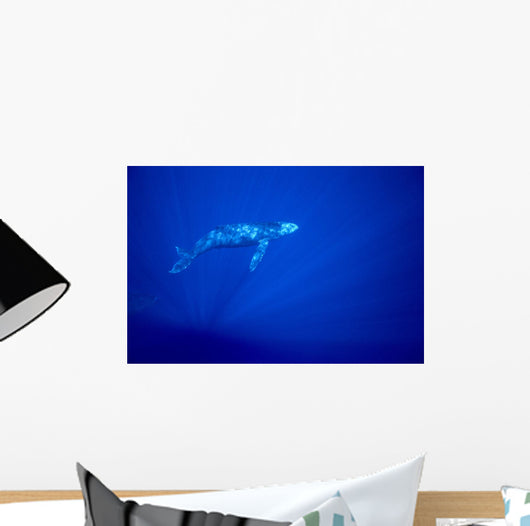 Blue Background Wall Mural