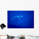 Blue Background Wall Mural