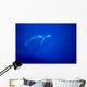 Blue Background Wall Mural
