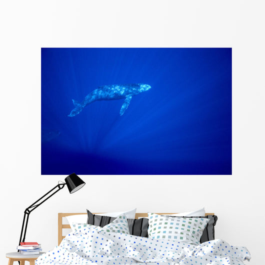 Blue Background Wall Mural