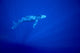 Blue Background Wall Mural