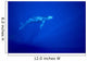 Blue Background Wall Mural