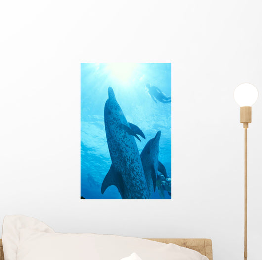 Sunburst Snorkeler Wall Mural