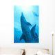 Sunburst Snorkeler Wall Mural