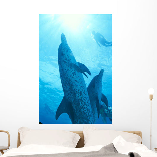 Sunburst Snorkeler Wall Mural