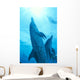 Sunburst Snorkeler Wall Mural