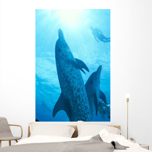Sunburst Snorkeler Wall Mural